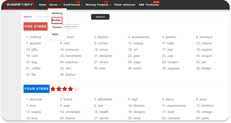 Must-Have Tools to Find Your Niche - img 05 • merchOne