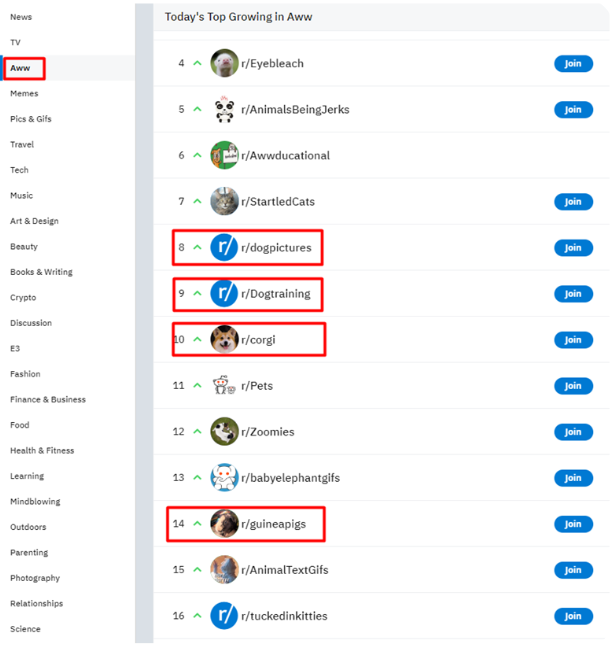 Must-Have Tools to Find Your Niche - img 08 • merchOne