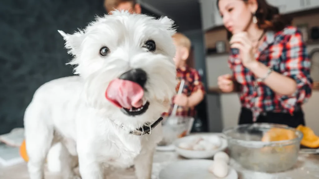 Dog Mom - Mothers Day () • merchOne • merchOne
