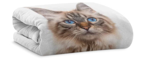 print on demand blanket