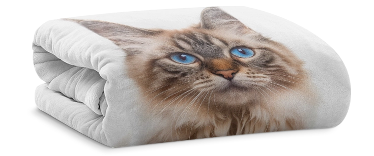 print on demand blanket