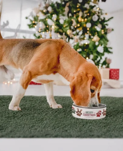 Beagle eating from a festive 'Merry Christmas' bowl on a green rug with a decorated Christmas tree and gifts in the background.